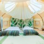 【星空宿营】睡在星空下！银发专属野奢帐篷体验（9人团）