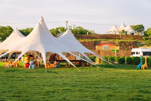 1mc6s12000c3tg58n94CA_R_600_400_R5