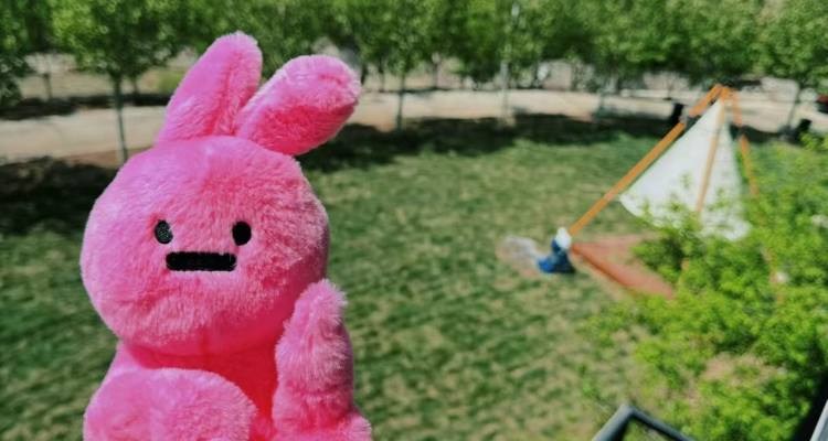 微信图片_2025-09-28_214655_433