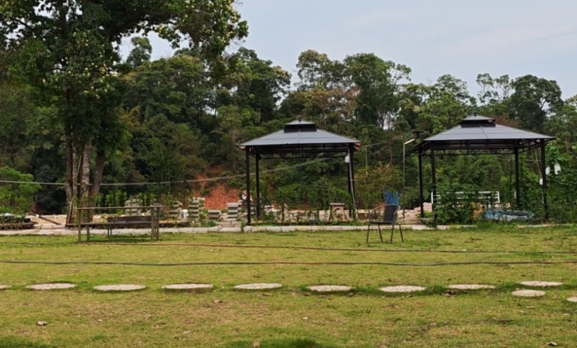 微信图片_20250703234522