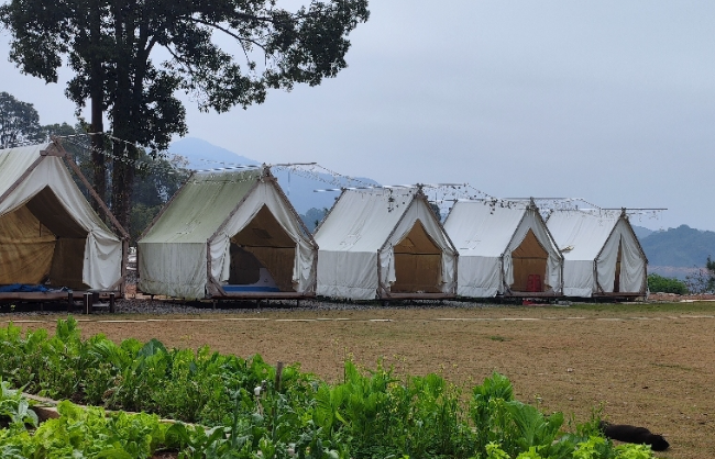 微信图片_20250703234519