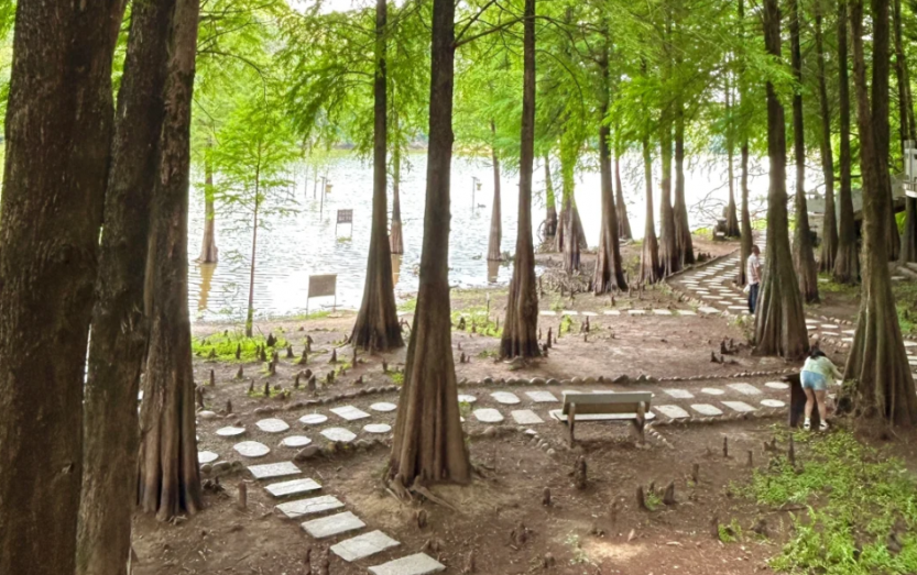 微信图片_20250703223304