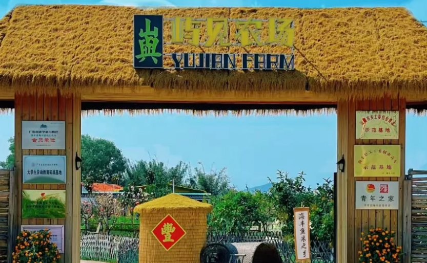 微信图片_20250703224657