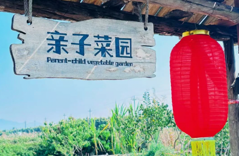 微信图片_20250703224700