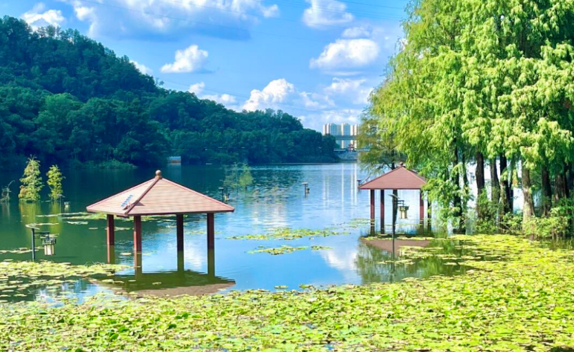 微信图片_202507032233043