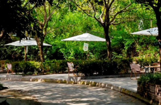 微信图片_20250608190349