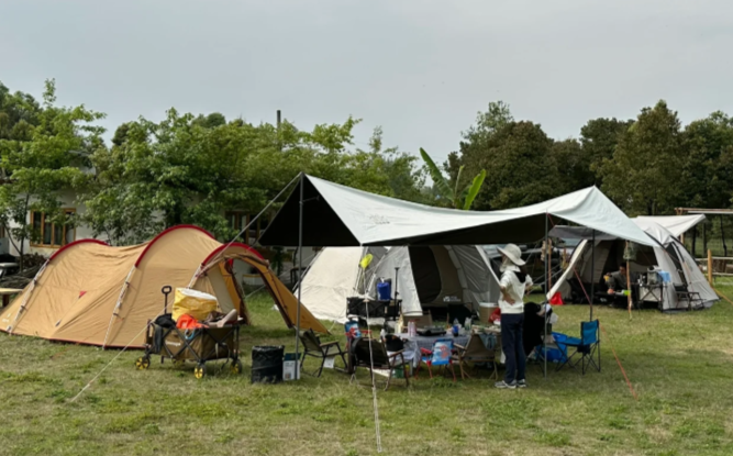 微信图片_20250608120951