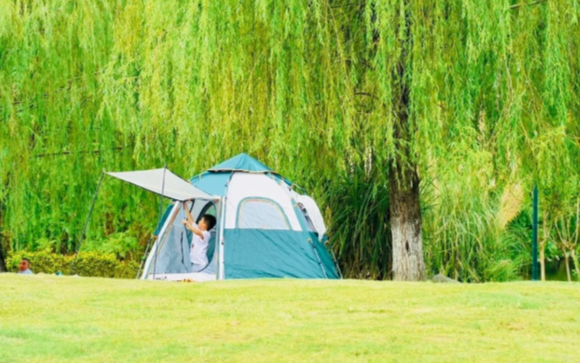 微信图片_20250608204845