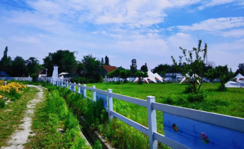 微信图片_20250608210403