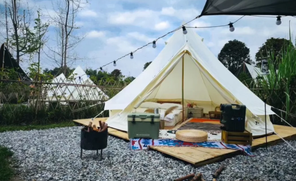 微信图片_20250609092837