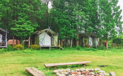 微信图片_20250608173934