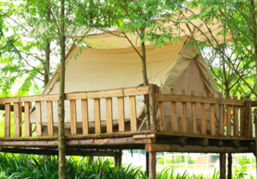 微信图片_20250608120939