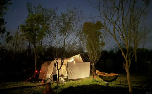 微信图片_20250608191730