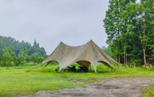 微信图片_20250608173942