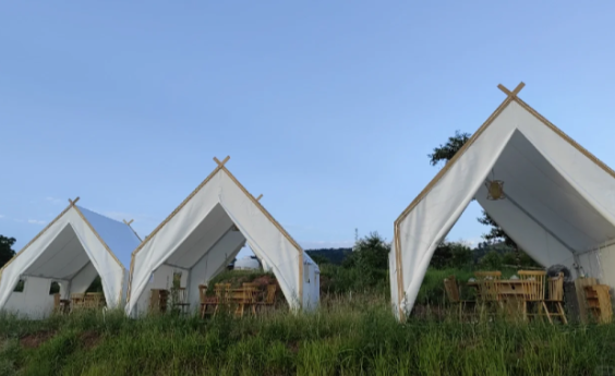 微信图片_20250608083626