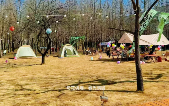 微信图片_20250412124811