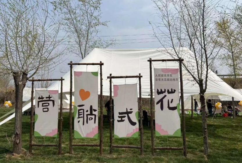 微信图片_20250412125137