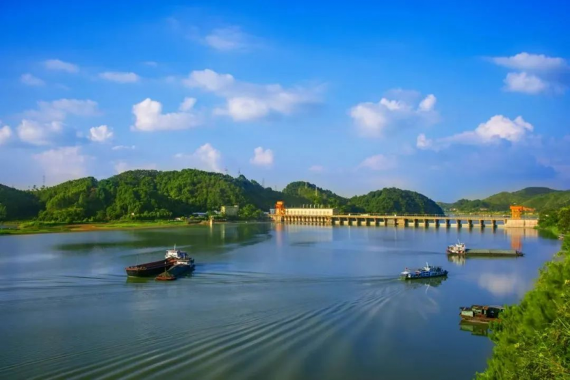 图片20
