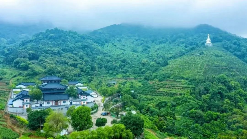 图片15