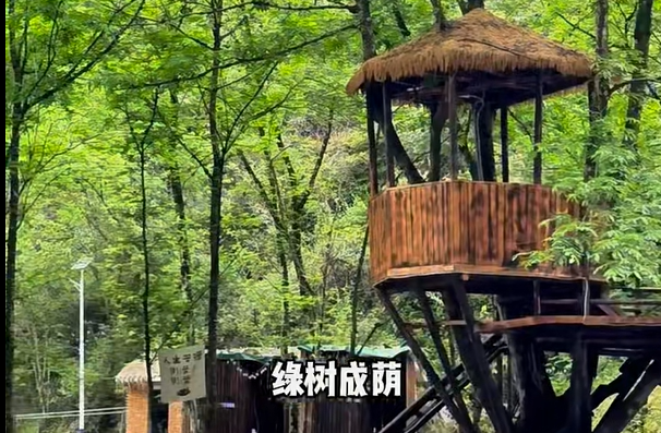 微信图片_20250424133324