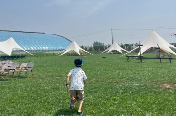 微信图片_20250423233349
